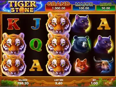 Tiger Stone: Hold and Win slot